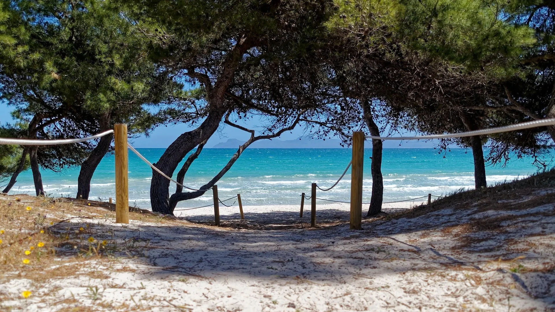 Apartamentos Carlos V Alcudia  Spain